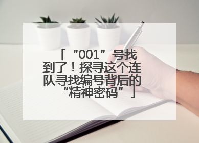 “001”号找到了！探寻这个连队寻找编号背后的“精神密码”