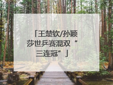 王楚钦/孙颖莎世乒赛混双“三连冠”