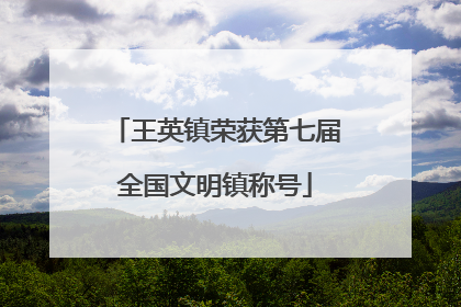 王英镇荣获第七届全国文明镇称号