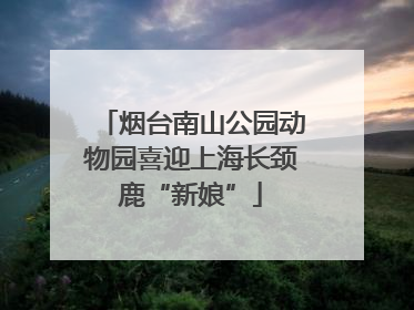 烟台南山公园动物园喜迎上海长颈鹿“新娘”