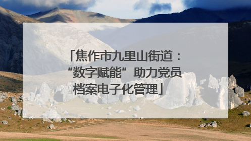 焦作市九里山街道：“数字赋能”助力党员档案电子化管理