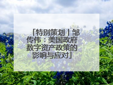 特别策划丨邹传伟：美国政府数字资产政策的影响与应对