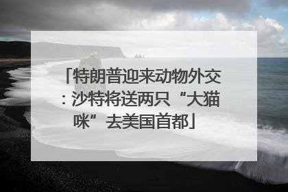 特朗普迎来动物外交：沙特将送两只“大猫咪”去美国首都