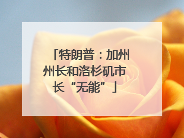 特朗普：加州州长和洛杉矶市长“无能”