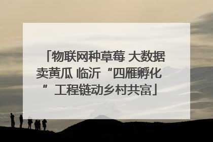 物联网种草莓 大数据卖黄瓜 临沂“四雁孵化”工程链动乡村共富