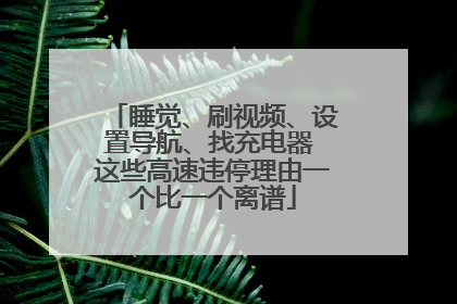睡觉、刷视频、设置导航、找充电器 这些高速违停理由一个比一个离谱