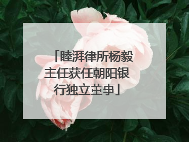 睦湃律所杨毅主任获任朝阳银行独立董事