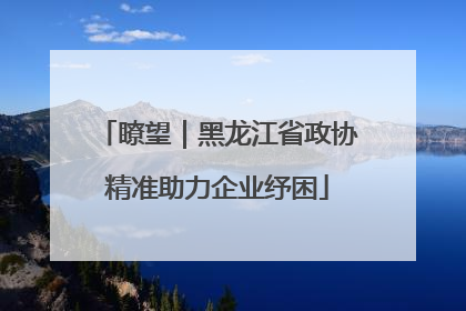 瞭望｜黑龙江省政协精准助力企业纾困