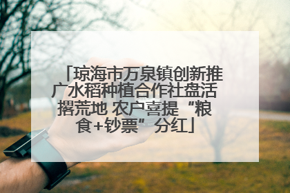 琼海市万泉镇创新推广水稻种植合作社盘活撂荒地 农户喜提“粮食+钞票”分红
