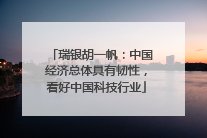 瑞银胡一帆：中国经济总体具有韧性，看好中国科技行业