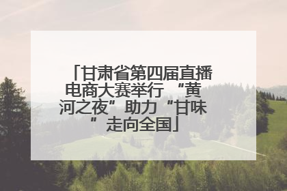 甘肃省第四届直播电商大赛举行 “黄河之夜”助力“甘味”走向全国