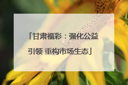 甘肃福彩：强化公益引领 重构市场生态