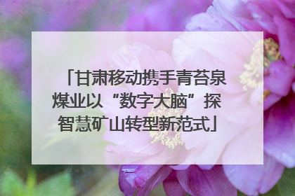 甘肃移动携手青苔泉煤业以“数字大脑”探智慧矿山转型新范式