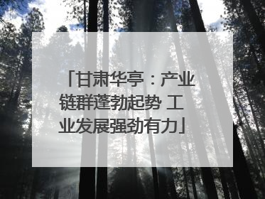甘肃华亭：产业链群蓬勃起势 工业发展强劲有力