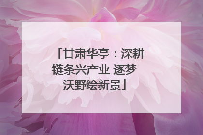 甘肃华亭：深耕链条兴产业 逐梦沃野绘新景
