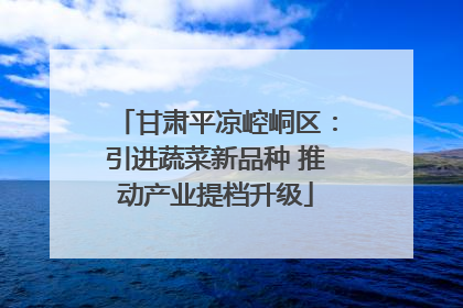 甘肃平凉崆峒区：引进蔬菜新品种 推动产业提档升级
