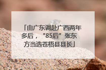 由广东调赴广西两年多后，“85后”张东方当选苍梧县县长