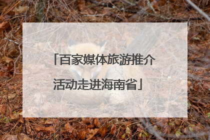 百家媒体旅游推介活动走进海南省