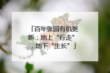 百年张园有机更新：地上“行走”，地下“生长”