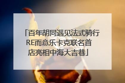 百年胡同遇见法式骑行 RE而意乐卡克联名首店亮相中海大吉巷