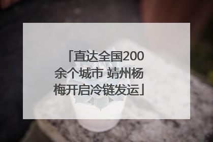 直达全国200余个城市 靖州杨梅开启冷链发运