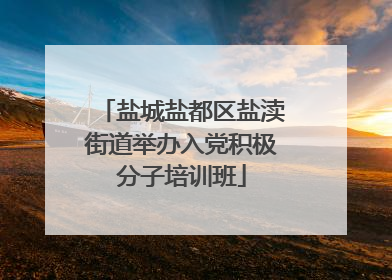 盐城盐都区盐渎街道举办入党积极分子培训班