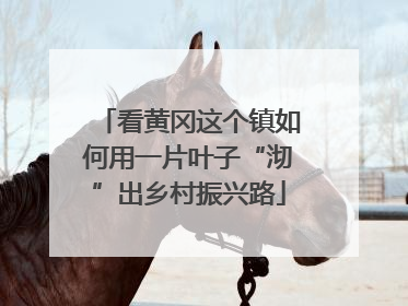 看黄冈这个镇如何用一片叶子“沏”出乡村振兴路