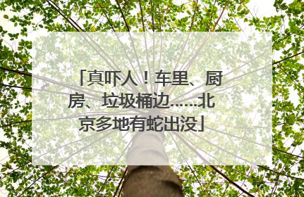 真吓人！车里、厨房、垃圾桶边……北京多地有蛇出没