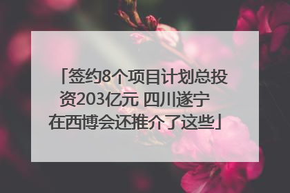 签约8个项目计划总投资203亿元 四川遂宁在西博会还推介了这些