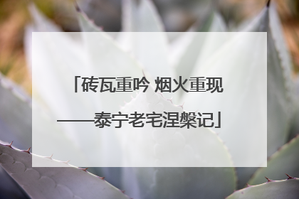 砖瓦重吟 烟火重现——泰宁老宅涅槃记