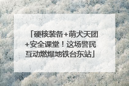 硬核装备+萌犬天团+安全课堂！这场警民互动燃爆地铁台东站