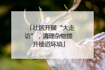 社区开展“大走访”，清理杂物提升楼道环境