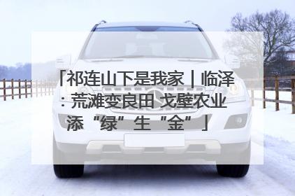 祁连山下是我家｜临泽：荒滩变良田 戈壁农业添“绿”生“金”