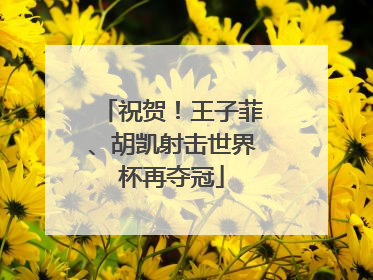 祝贺！王子菲、胡凯射击世界杯再夺冠