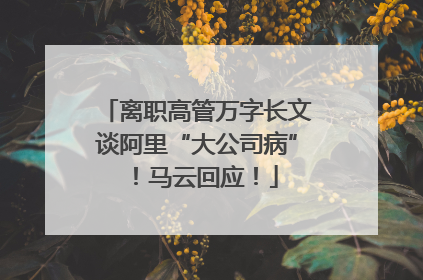 离职高管万字长文谈阿里“大公司病”！马云回应！