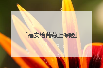 福安给葡萄上保险