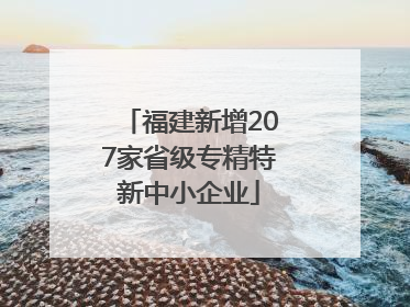 福建新增207家省级专精特新中小企业