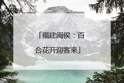 福建闽侯：百合花开迎客来