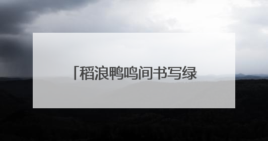 稻浪鸭鸣间书写绿色答卷：全国劳模田淑娴的田野振兴梦