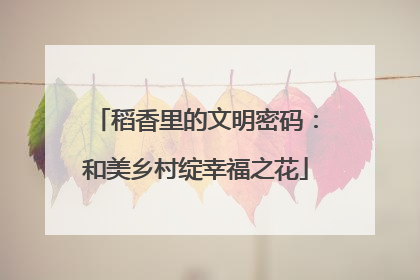 稻香里的文明密码：和美乡村绽幸福之花