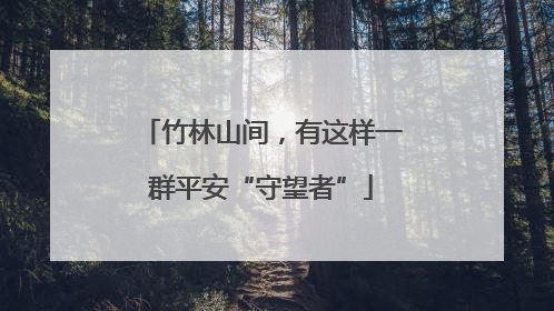竹林山间，有这样一群平安“守望者”
