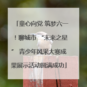 童心向党 筑梦六一！聊城市 “未来之星” 青少年风采大赛成果展示活动圆满成功