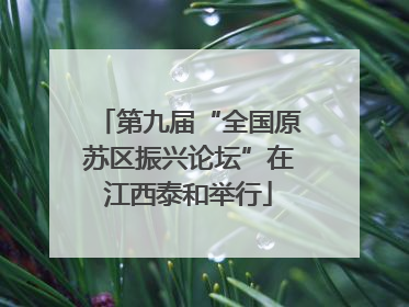第九届“全国原苏区振兴论坛”在江西泰和举行