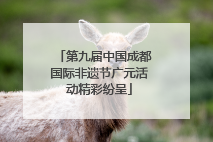 第九届中国成都国际非遗节广元活动精彩纷呈