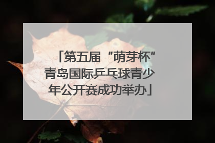 第五届“萌芽杯”青岛国际乒乓球青少年公开赛成功举办