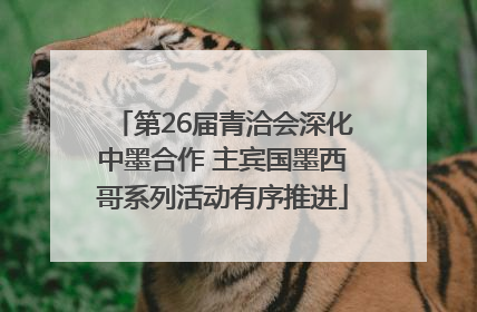 第26届青洽会深化中墨合作 主宾国墨西哥系列活动有序推进