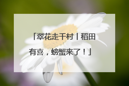 翠花走千村丨稻田有喜，螃蟹来了！