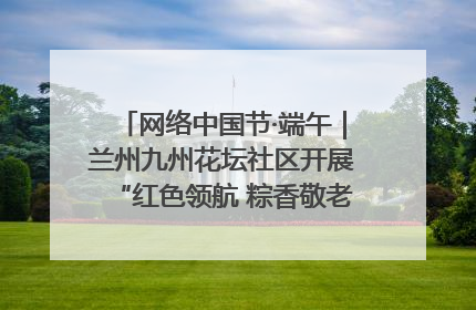 网络中国节·端午｜兰州九州花坛社区开展“红色领航 粽香敬老”端午主题活动