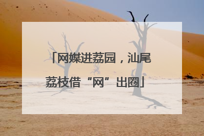 网媒进荔园，汕尾荔枝借“网”出圈