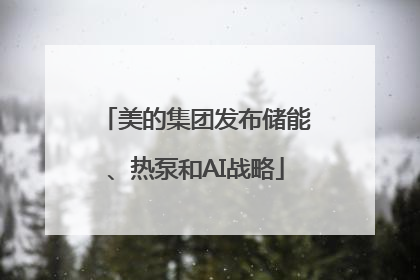 美的集团发布储能、热泵和AI战略